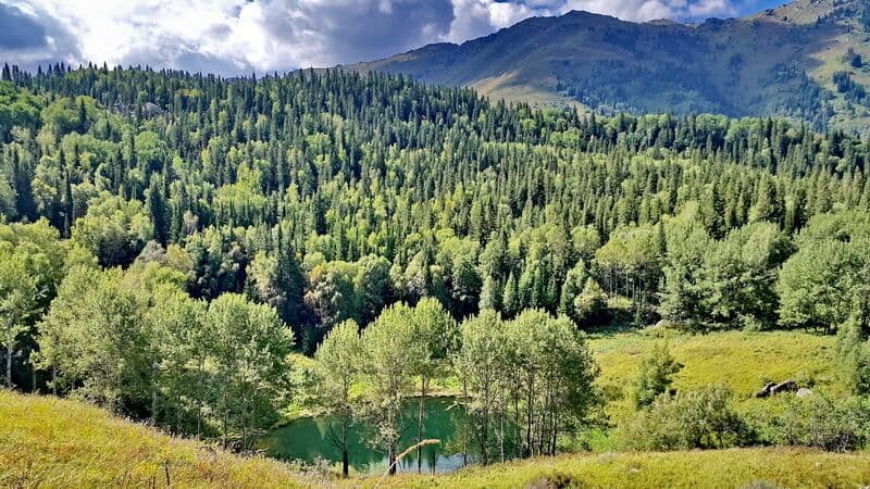 20160821_104746_2_novyj_razmer_17f42e9128