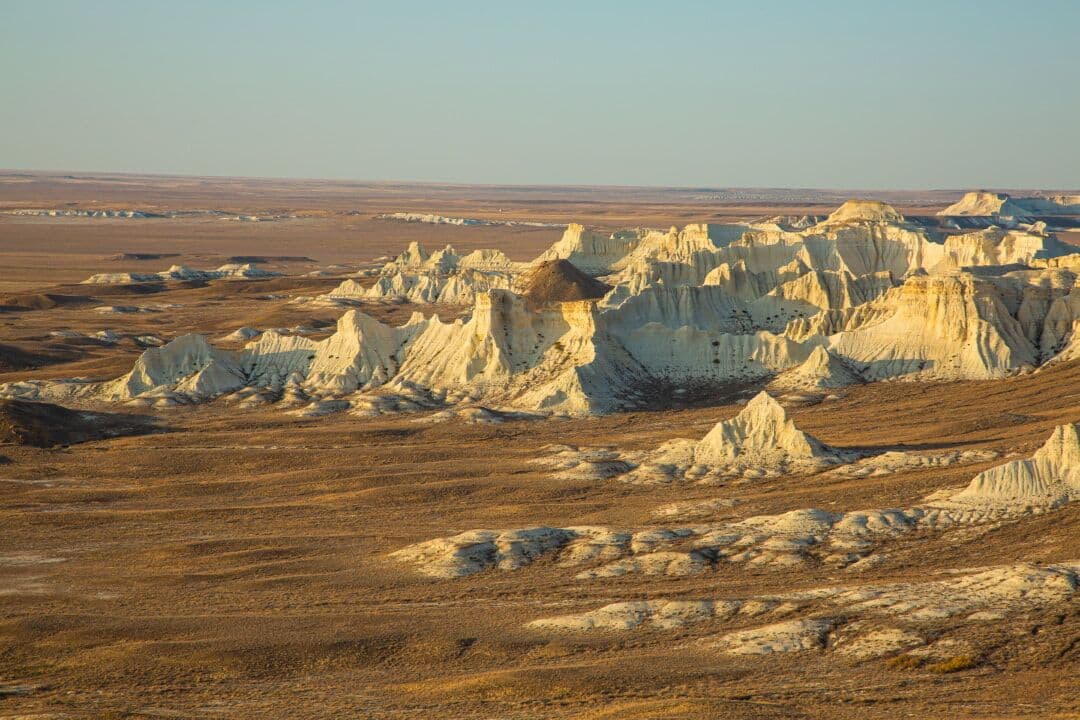 60c89330c853d347281007_62ff2c4eee