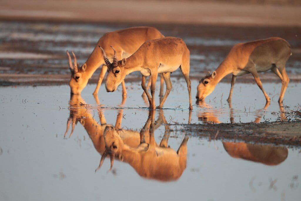 60deea20201e8232804137_a2b4df2880