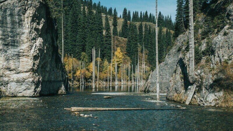 66c7b6a168efc7e80873de95f2a4d9d4_800xauto_q_85_41b87ddce8