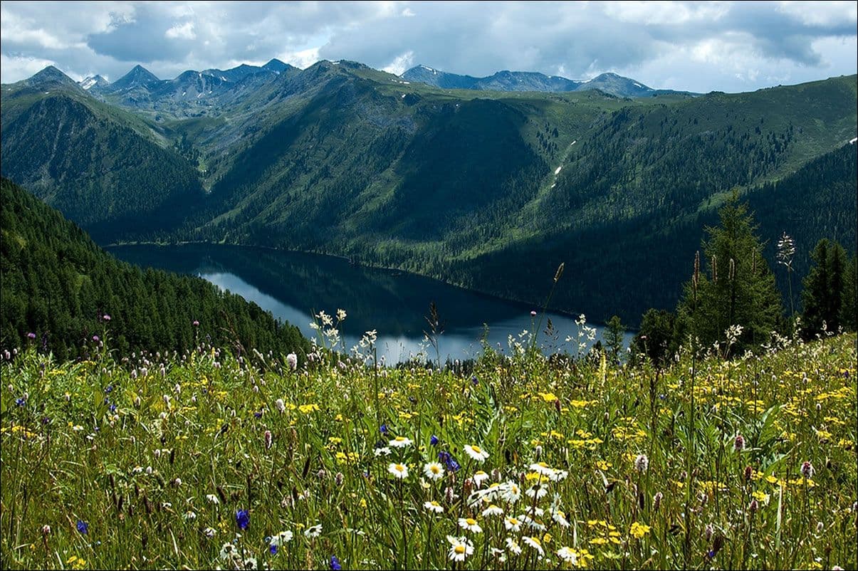 DSC_9411_jpg3_3868587350