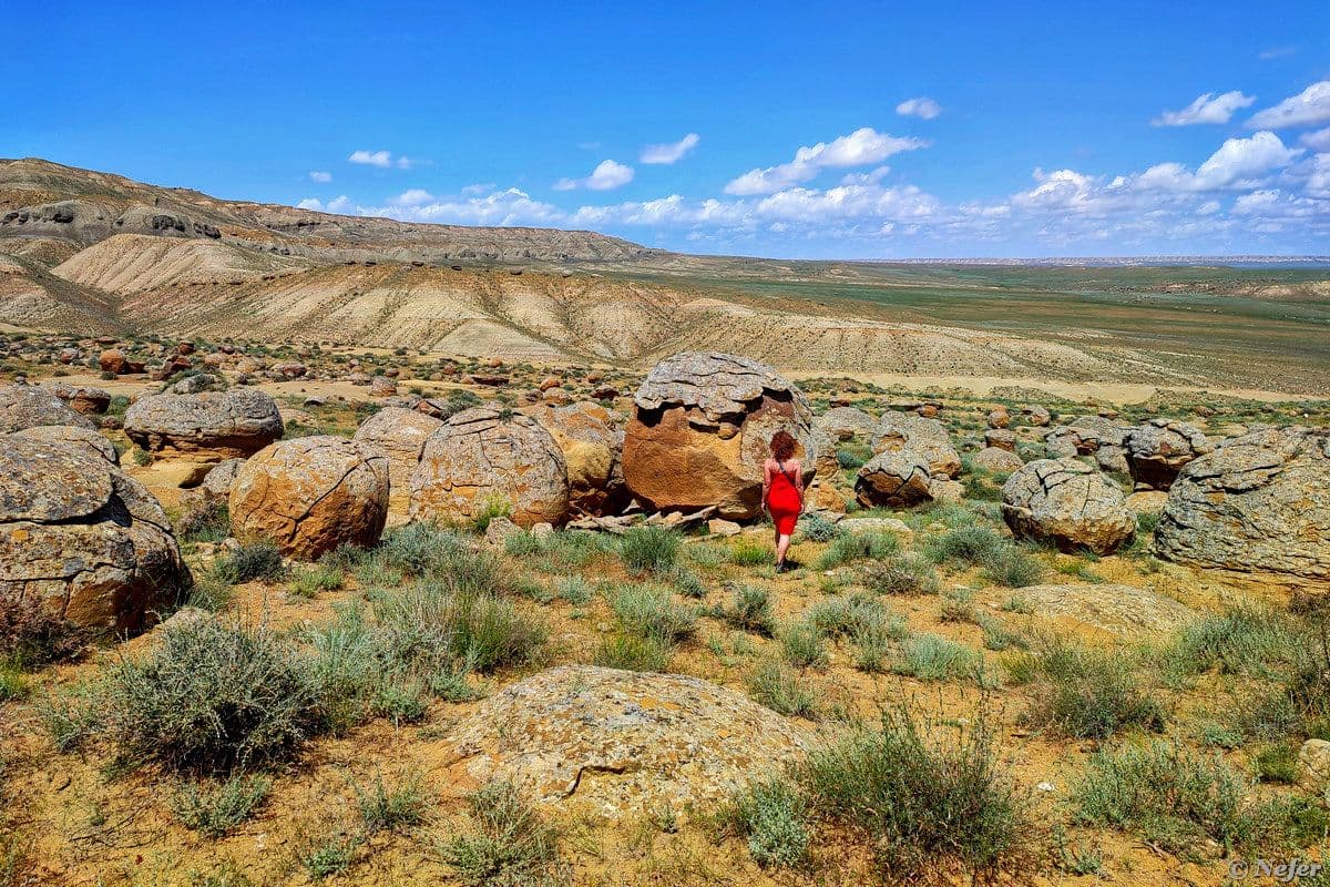 IMG_20230519_135221_01_c908ff0f27