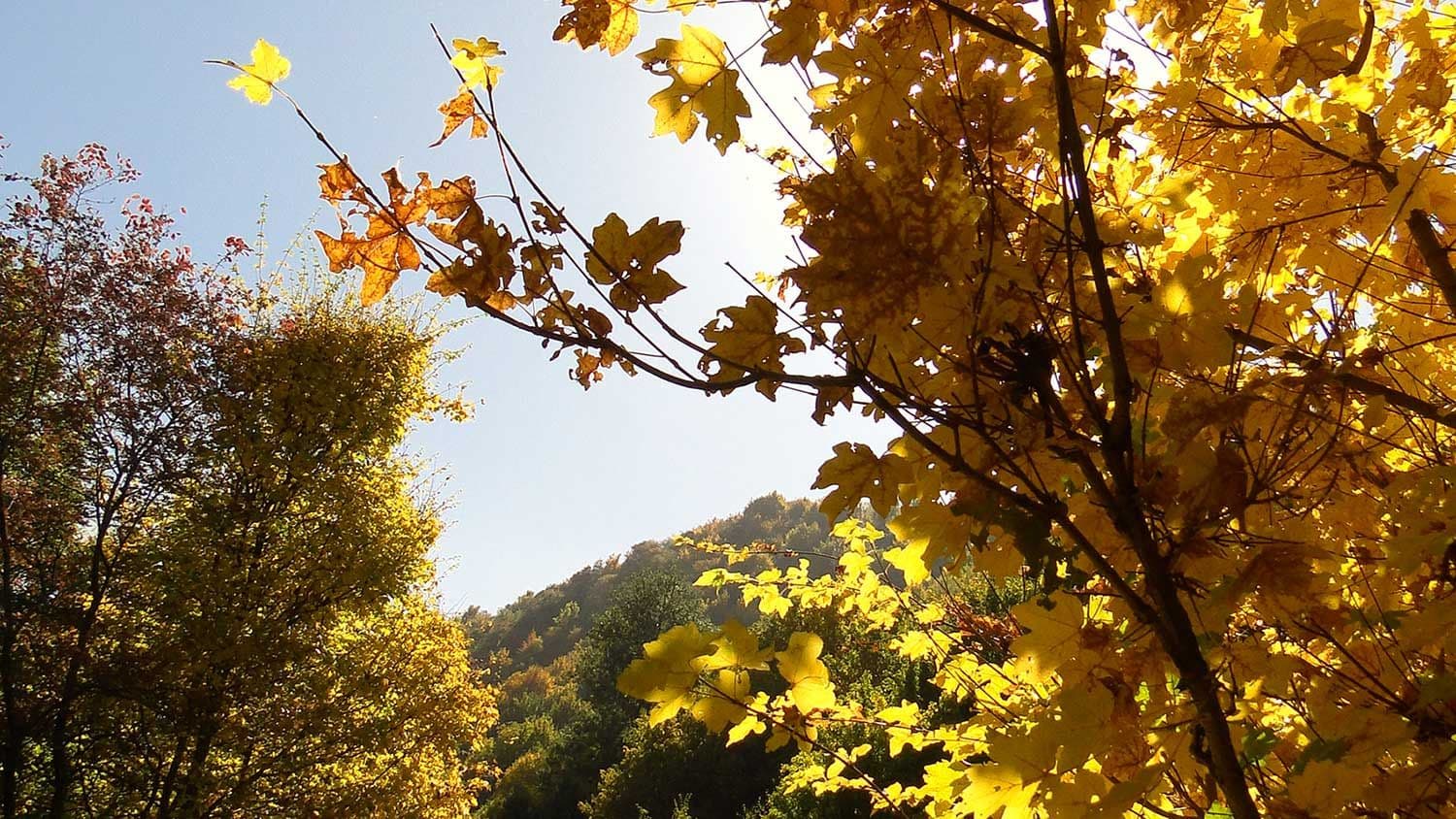 Осень в Заилийском Алатау