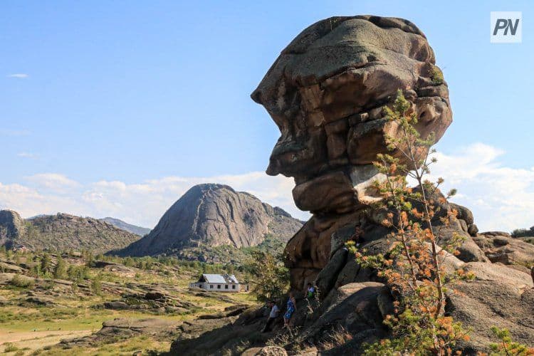 image_750x_649028d6e5a29_d6719a4063