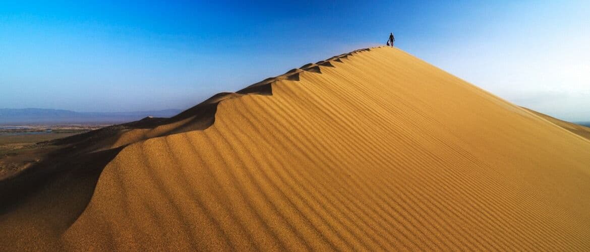 pojushhij_barhan_bc23f6dd00