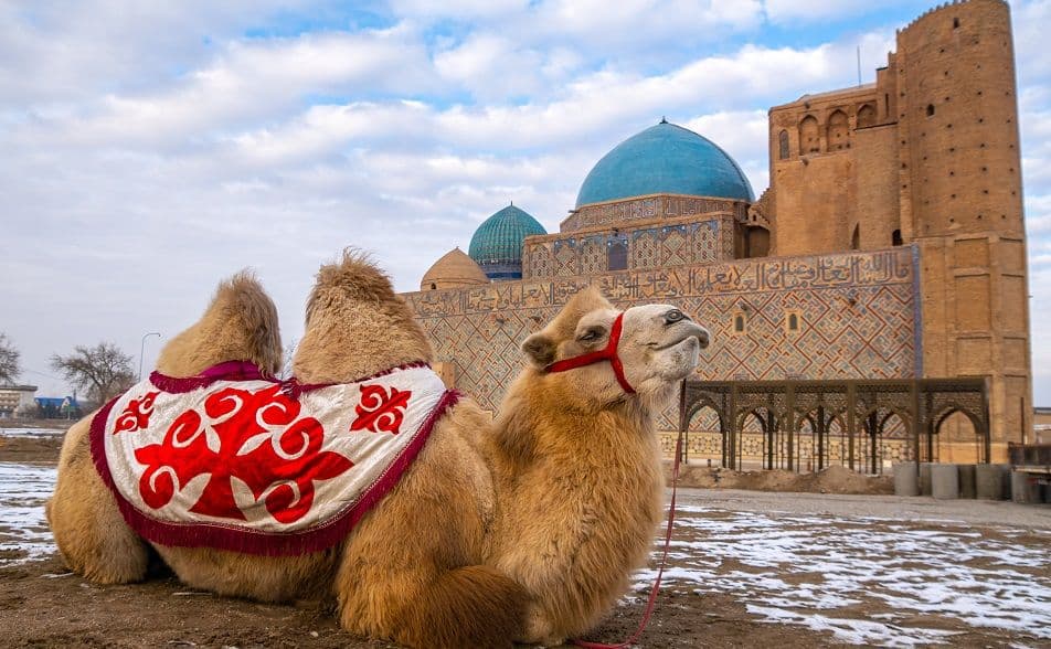 x7_Ruft_Ir_4014bb7a53