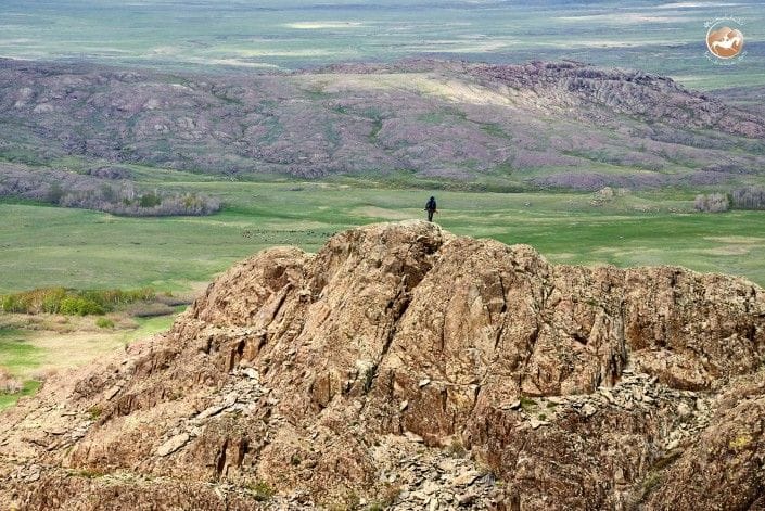 Улытауская область