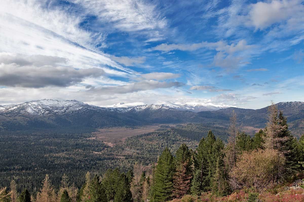 Западно-Алтайский государственный природный заповедник