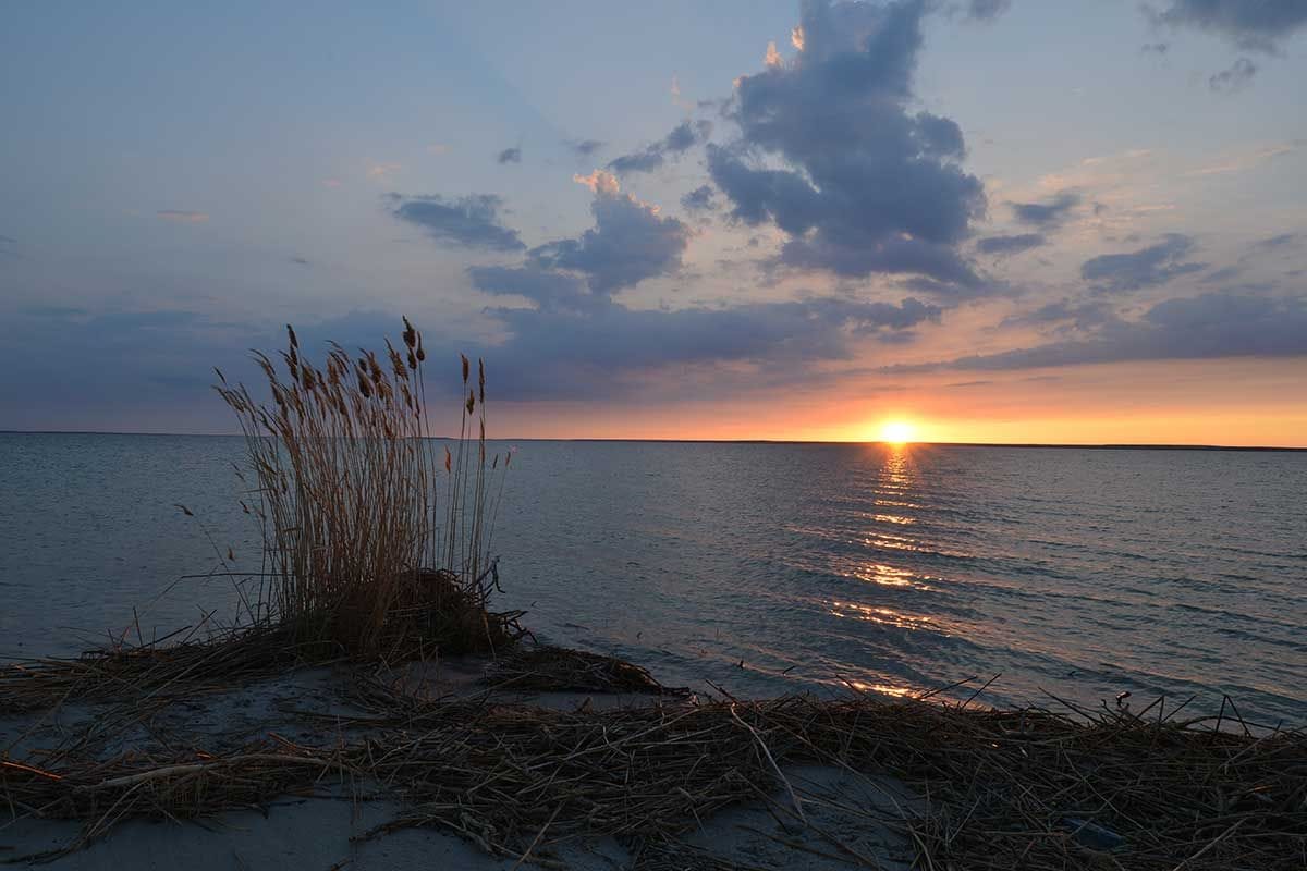 Озеро Камыстыбас (Камбаш)