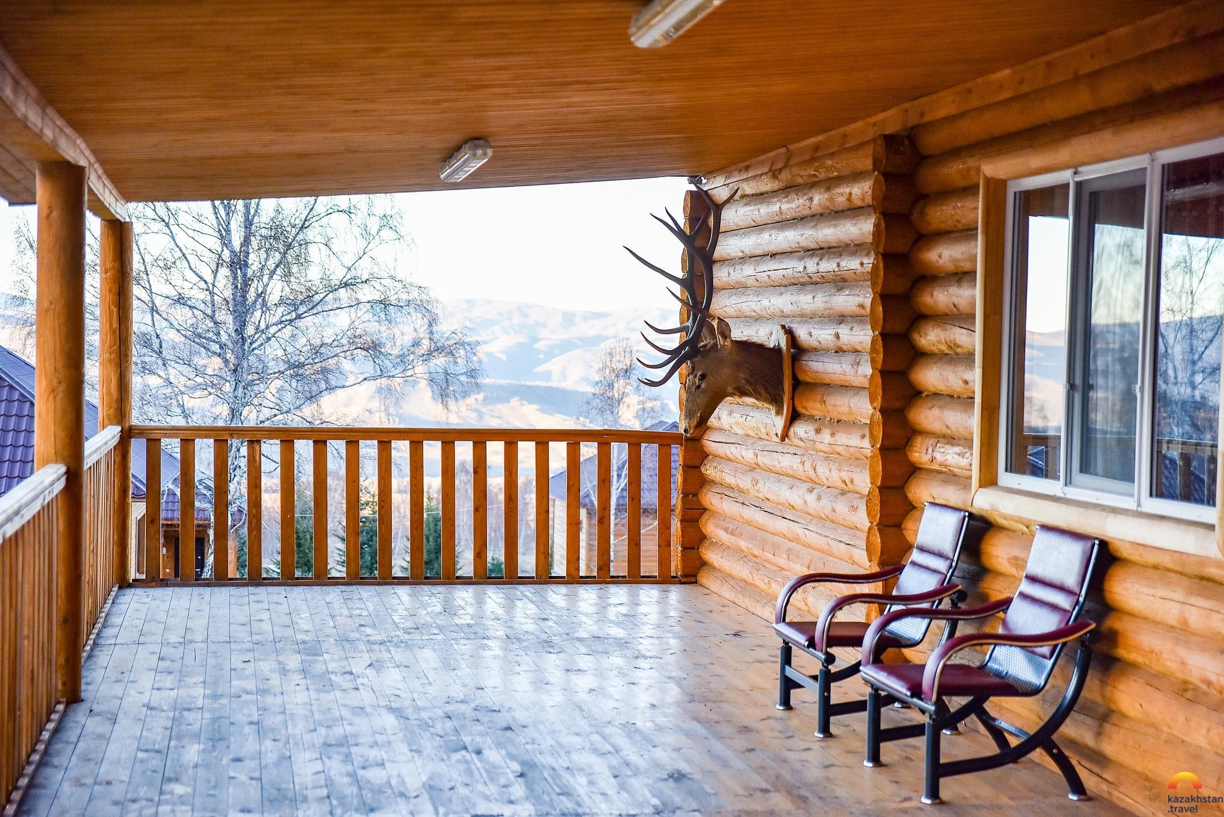 Пантолечебница "Баян"