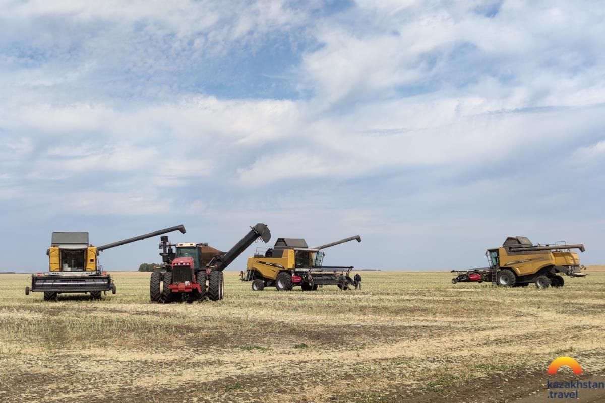 Крупное фермерское хозяйство Журавлевка-1