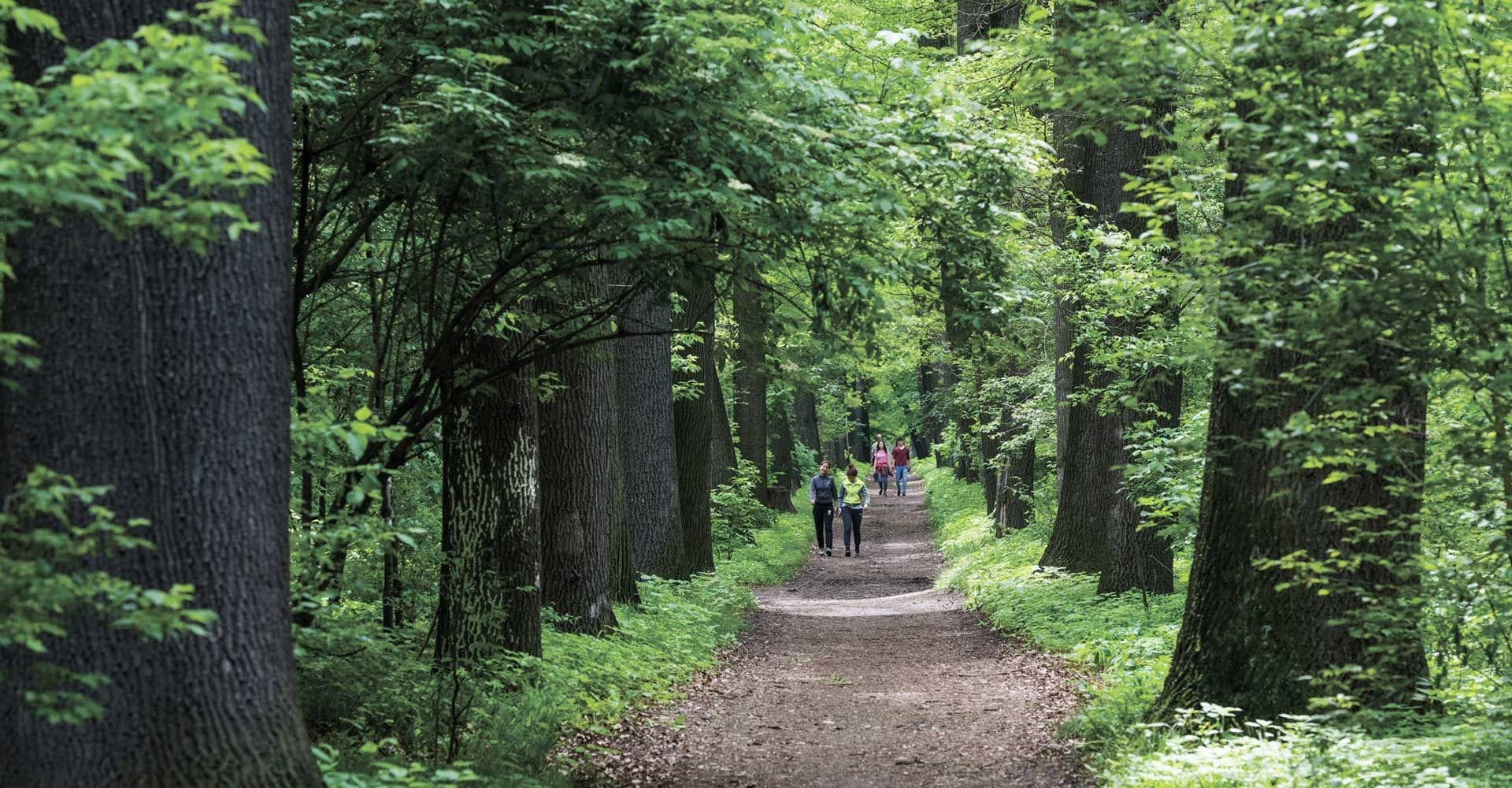 Главный ботанический сад