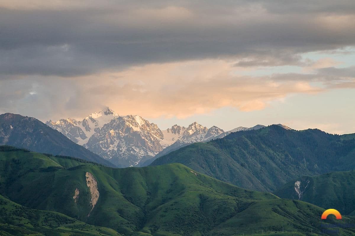 Альфред Брем о животных Казахстана