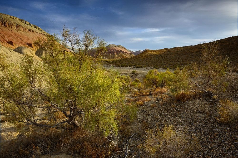 Природный парк «Алтын-Эмель»