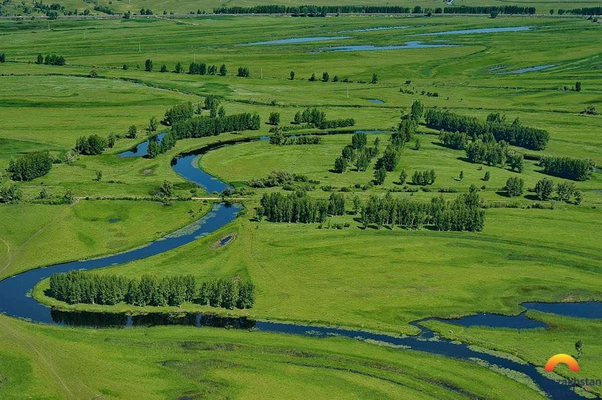 Зоологический природный заказник "Ертіс жағалауы"