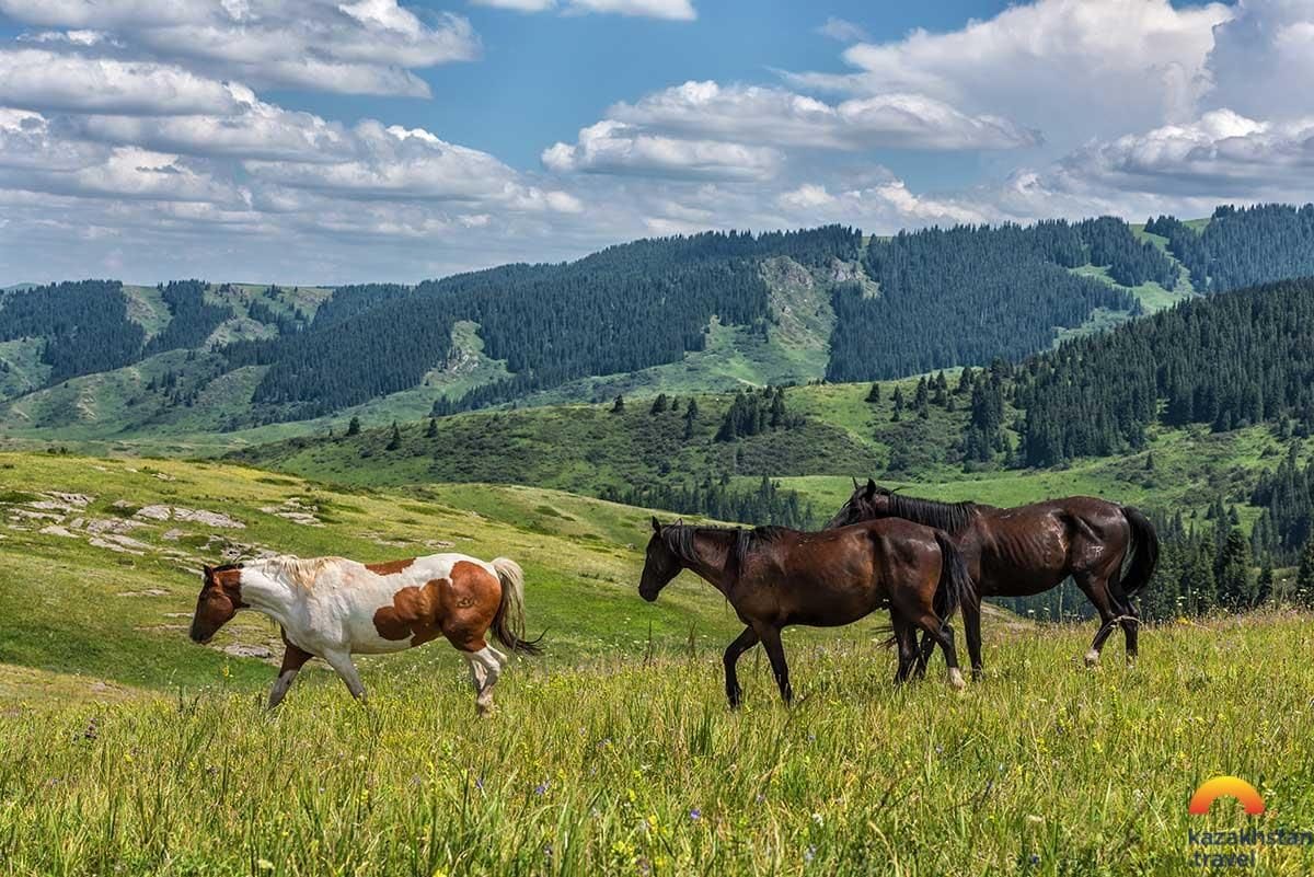 Плато Табан-Карагай