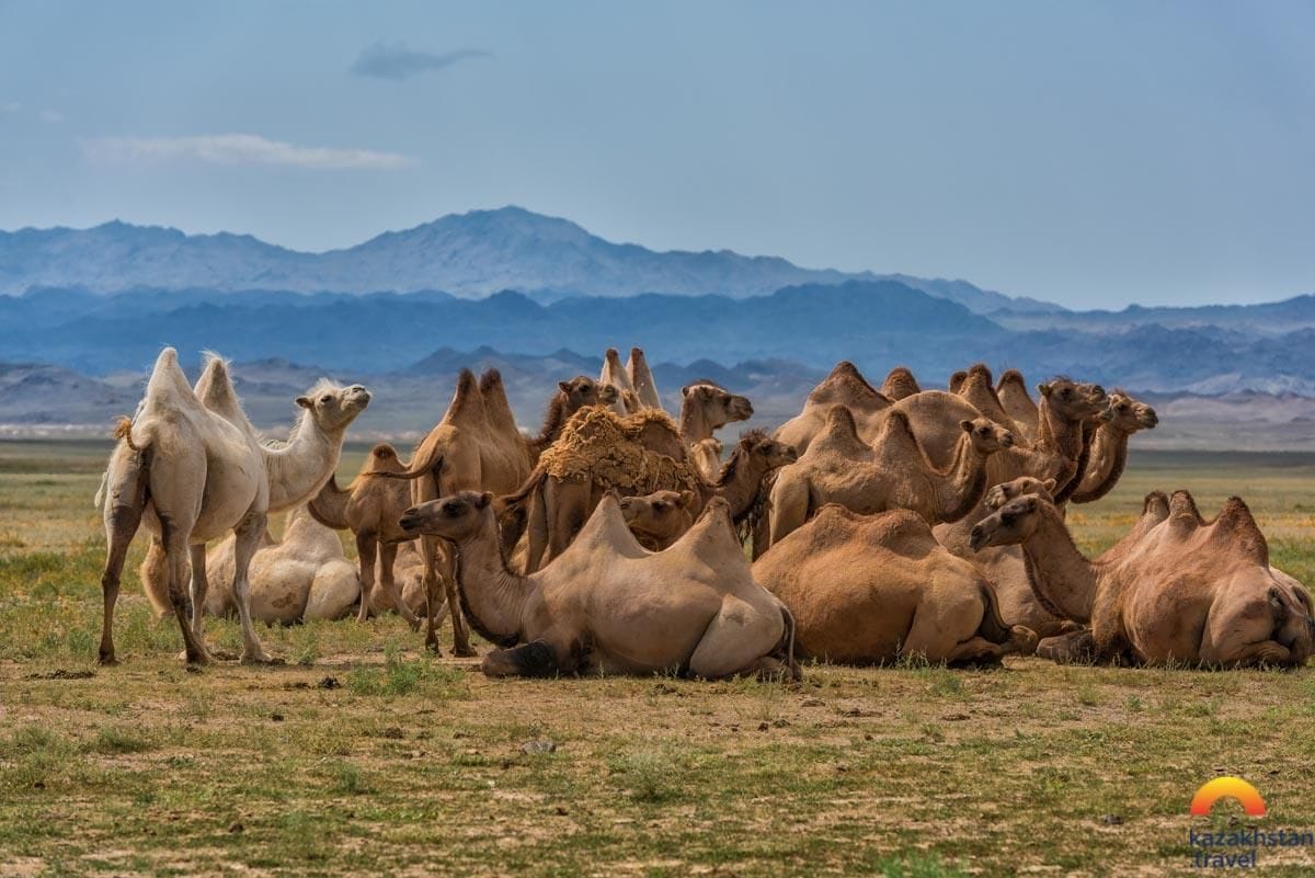 Актау-Мангистау