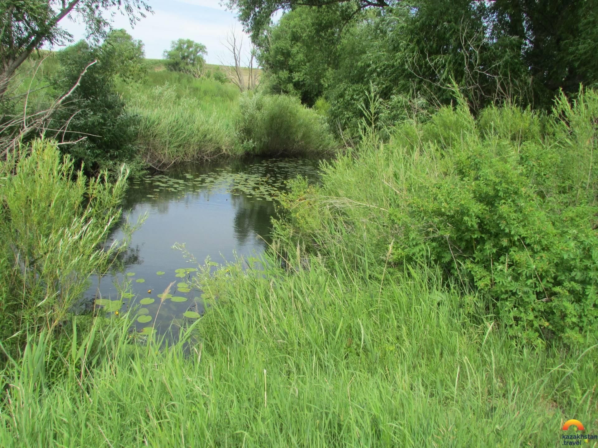 Геологический разрез Айдарлыаша