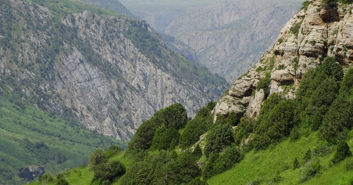 Аксу-Жабаглинский заповедник и каньон Коксай